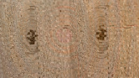 Previewimage Neil Mewes 5Sc2y0raksg Unsplash